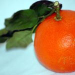 Mandarin-Orange