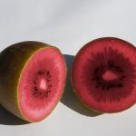 Red-kiwifruit