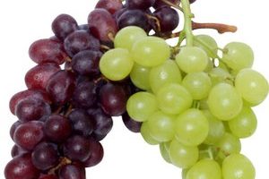 Types of grapes