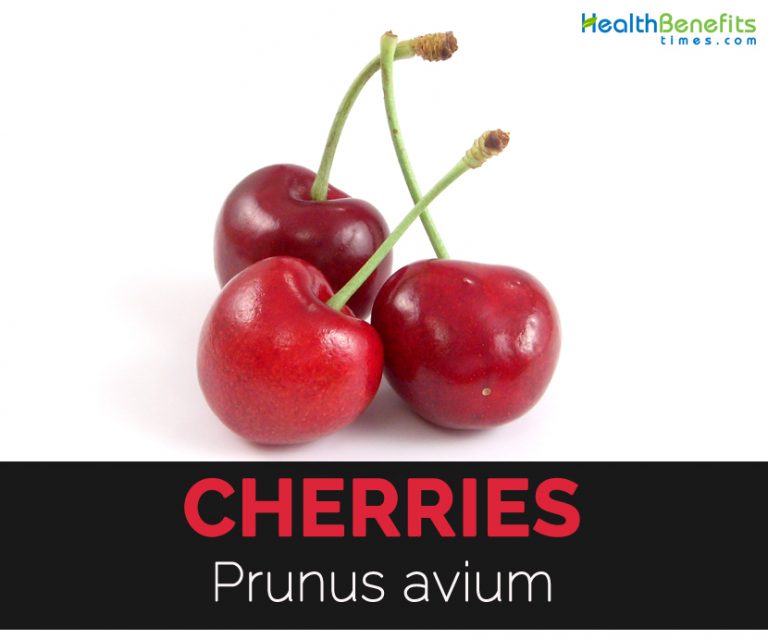 Cherries Facts and Health Benefits