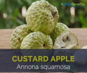 Custard Apples facts and health benefits