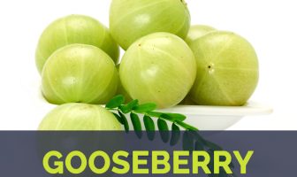Gooseberry Facts and health benefits