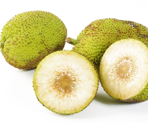 Health benefits of Breadfruits