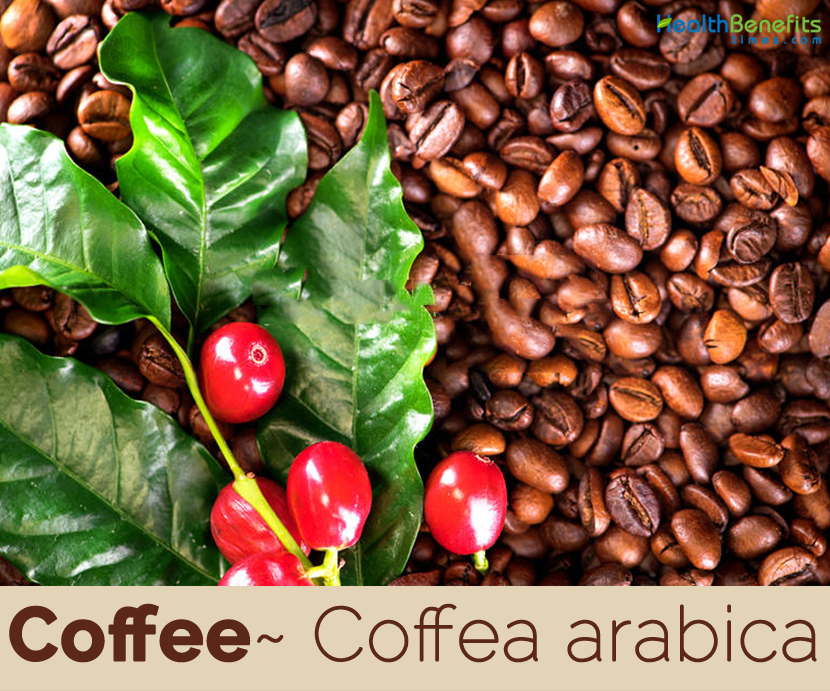 Health benefits of Coffee