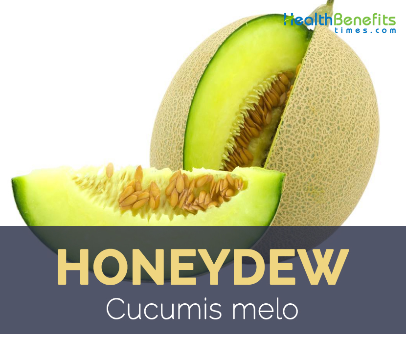Honeydew facts and health benefits