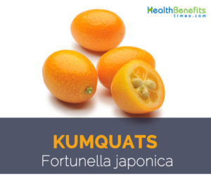 Kumquats facts and health benefits