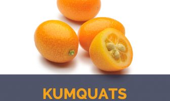 Kumquats facts and health benefits