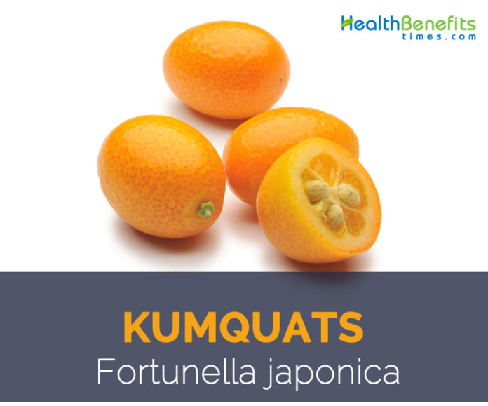 Kumquats facts and health benefits