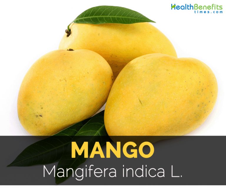 Mango Facts, Health Benefits and Nutritional Value