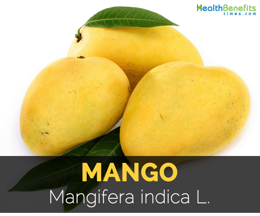 Mango Facts Health Benefits And Nutritional Value