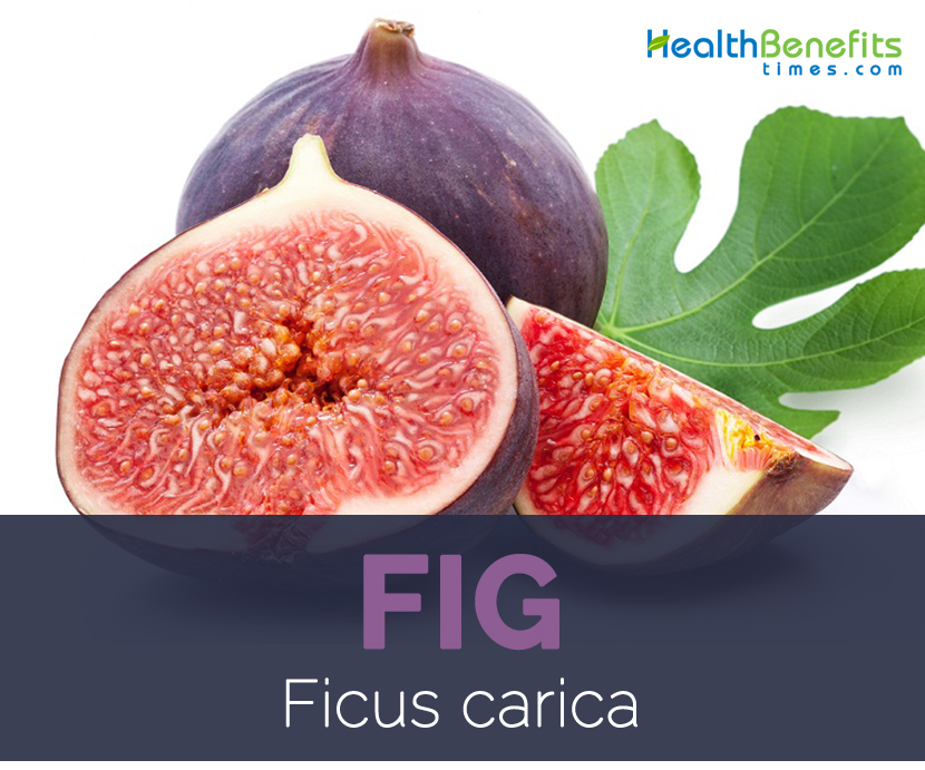 Figs facts and health benefits