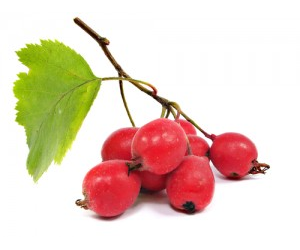 Health benefits of Hawthorn Berry
