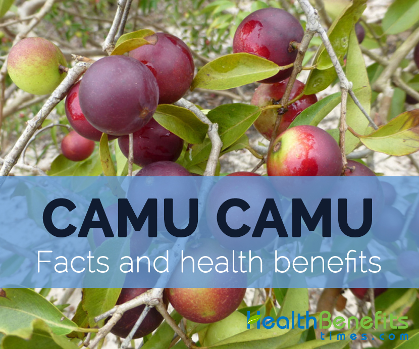 Camu-camu-facts-and-health-benefits