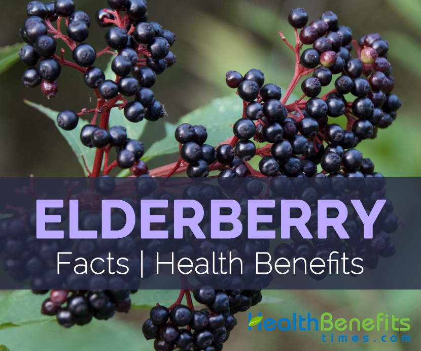 Elderberry fruit