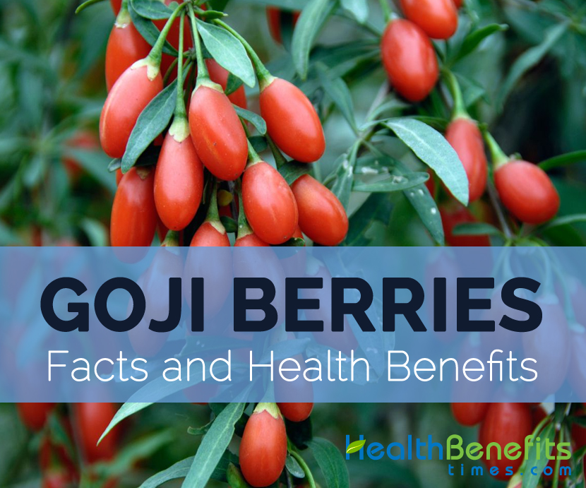 Goji-berry-facts-and-health-benefits