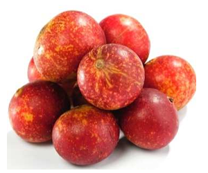 Health benefits of Camu Camu Fruit
