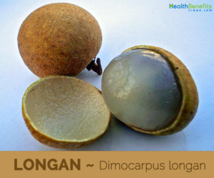Health benefits of Longan