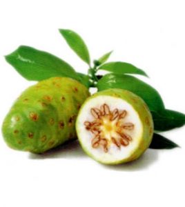 Health benefits of noni fruit