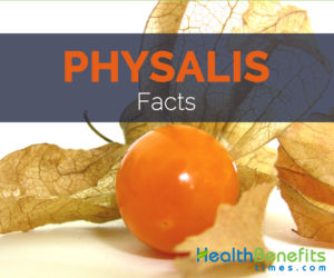Physalis Facts and Health benefits