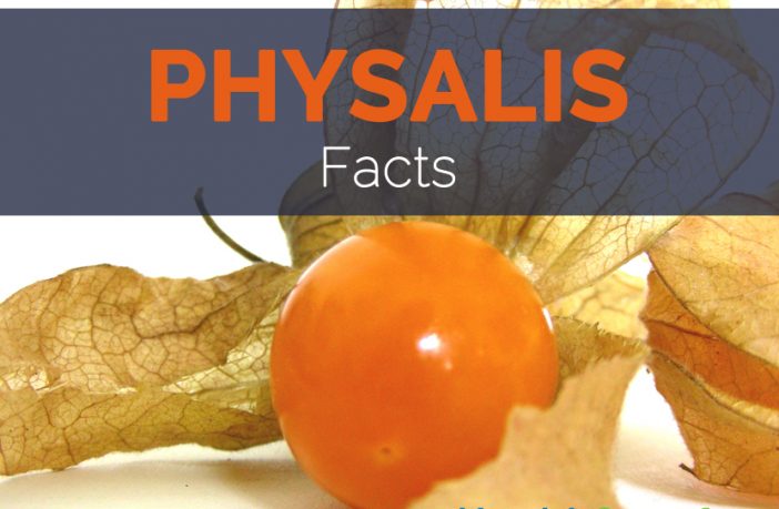 Physalis Facts Health Benefits And Nutritional Value