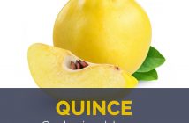 Quince facts and health benefits