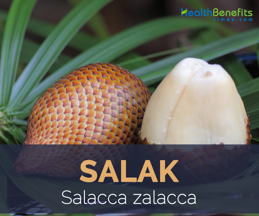 Salak fruit facts and health benefits