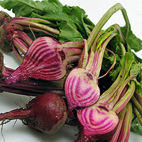 Baby Candy Cane Beet