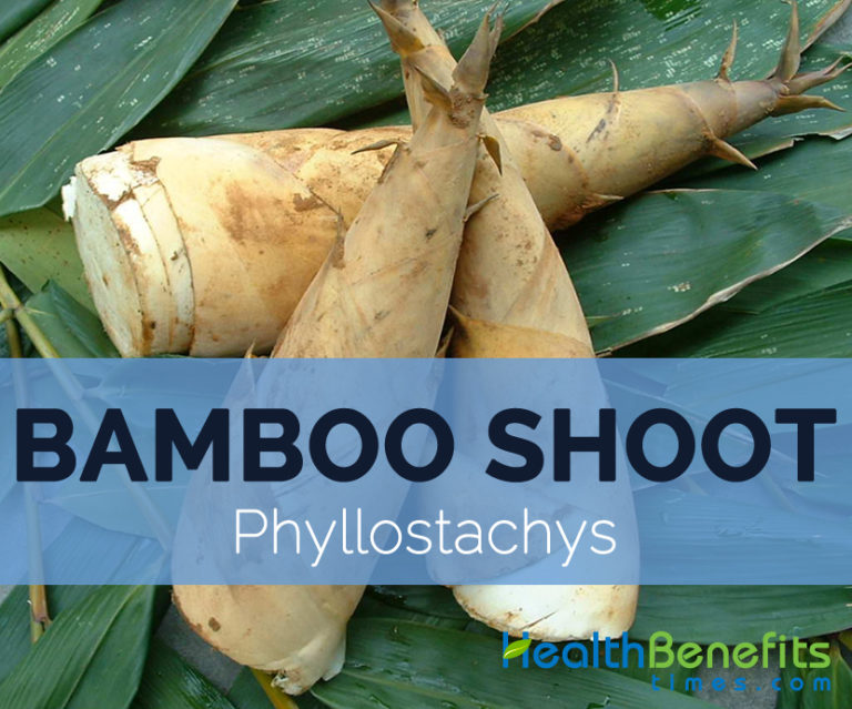 Bamboo shoot Facts, Health Benefits and Nutritional Value