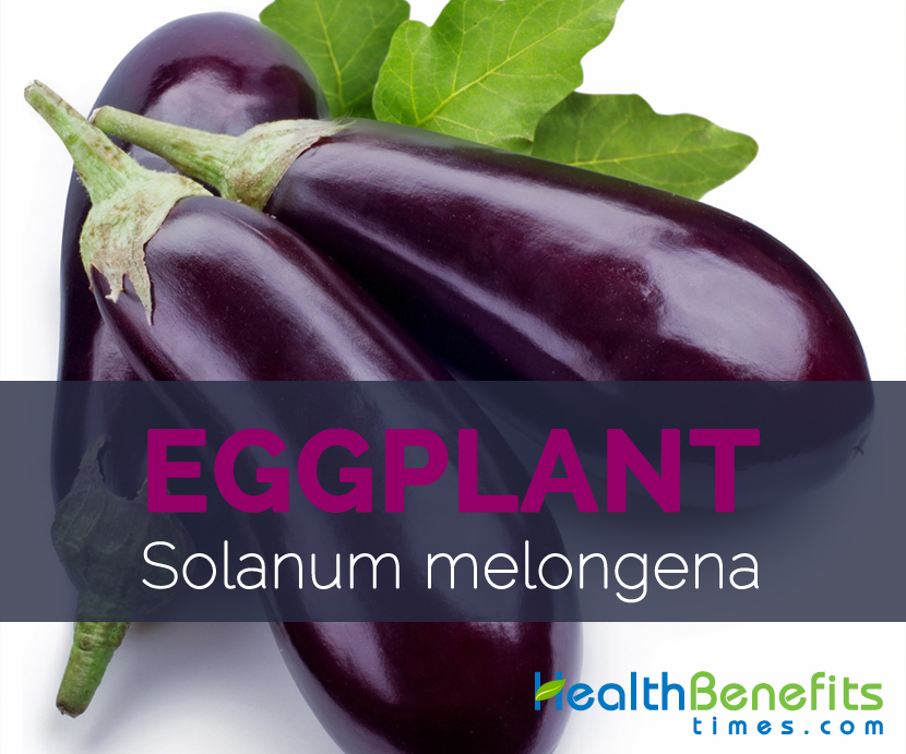 Eggplant - Solanum melongena