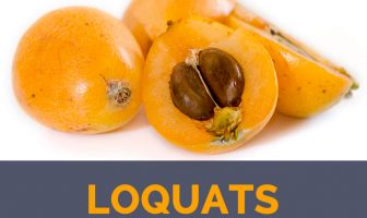Loquat facts and health benefits