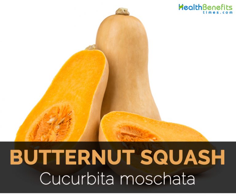 Butternut Squash Facts, Health Benefits & Nutritional Value