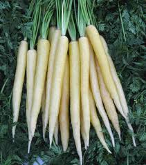 White Carrot