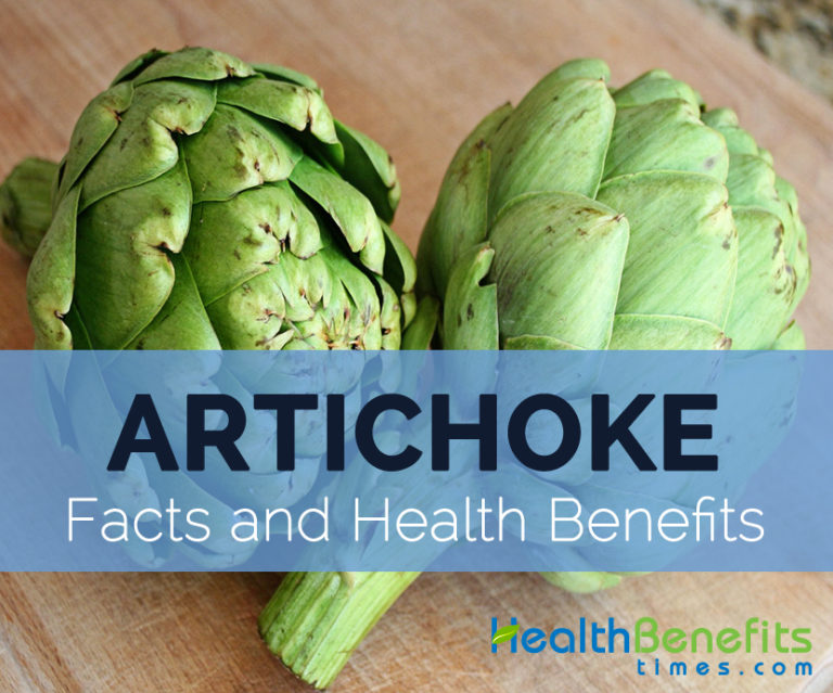 Artichoke Facts, Health Benefits and Nutritional Value