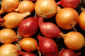 Baby Onion