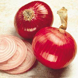 Giant Red Hamburger Onion