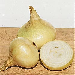 Granex Yellow Hybrid Onion