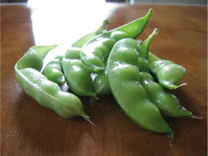 Gray Sugar Green Peas
