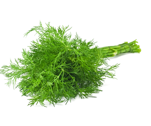 Health benefits of Dill
