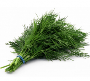 Health benefits of Dill