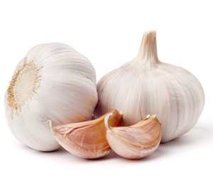Health benefits of Garlic