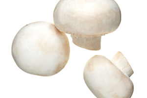 Health benefits of Mushrooms