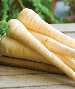 Hollow Crown Parsnips