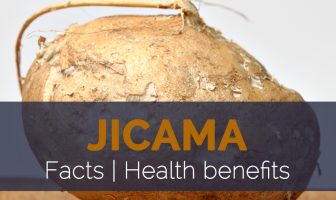Jicama Facts and Health benefits