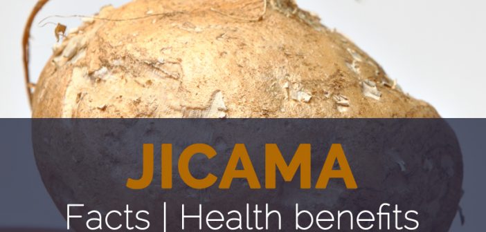 Jicama Facts and Health benefits