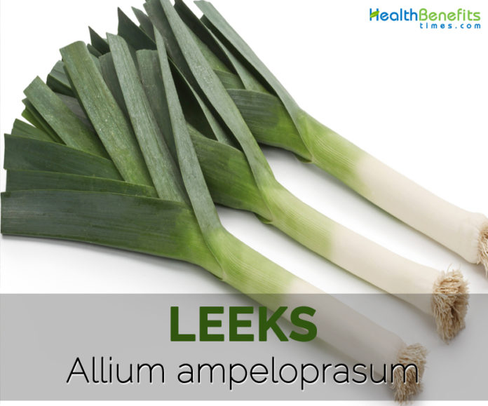 Leeks Facts, Health Benefits and Nutritional Value