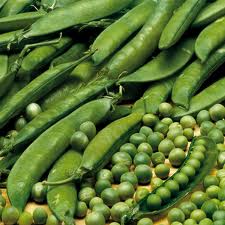 Lincoln Green Peas