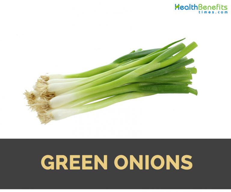 Green Onions Facts, Health Benefits and Nutritional Value