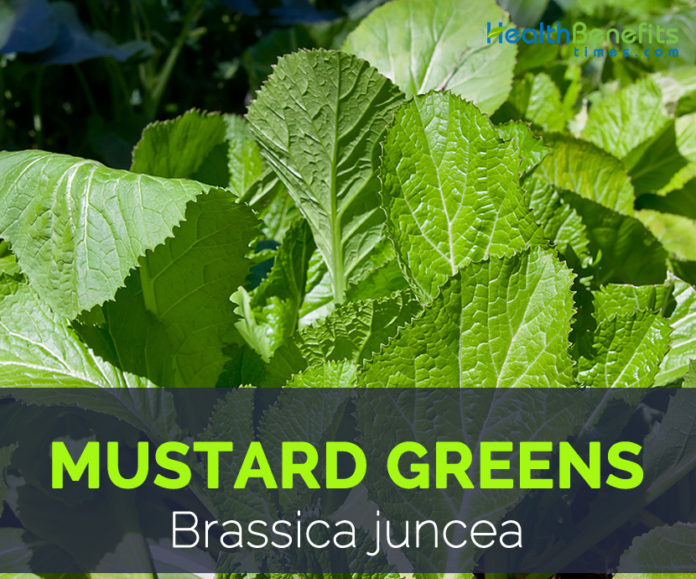 Mustard Greens, Health Benefits and Nutritional Value