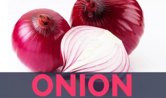 Onion - Allium cepa