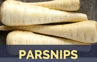 Parsnips facts and health benefits